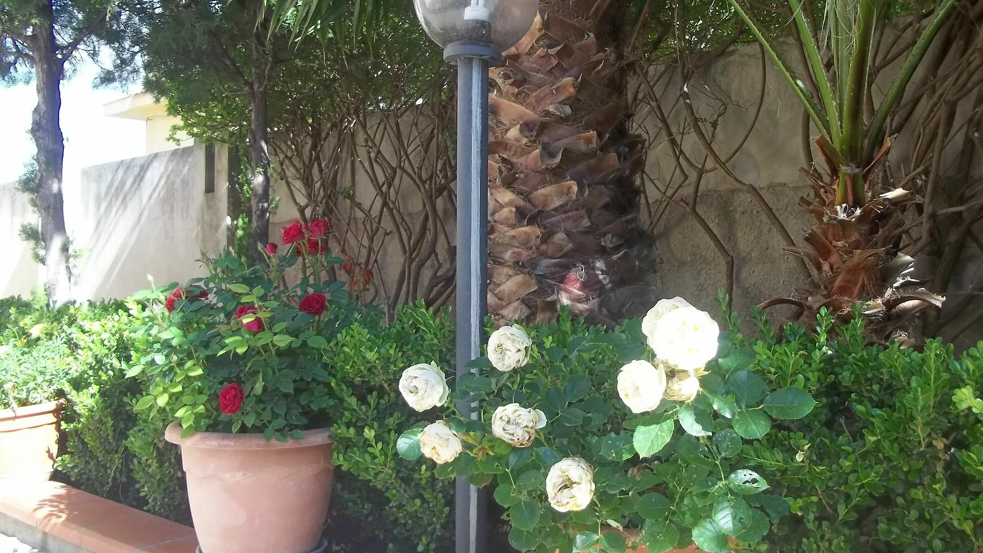 Bed & Breakfast B&B Alla Stazione Noto